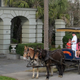 Mordern tourists in Charleston